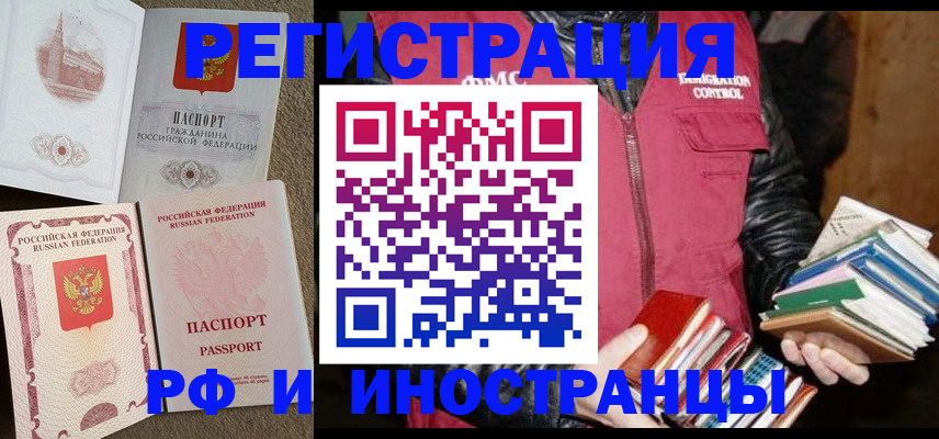 прописка в Кольчугино